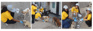Estudiantes UARM participaron en voluntariado de ayuda a perros callejeros en Villa El Salvador, promoviendo el compromiso social y el bienestar animal.